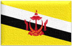 Flag of Brunei with yellow field white black stripes and crest
