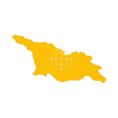Georgia Map