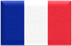 Flag 61 france