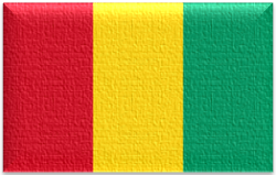 Flag 70 guinea