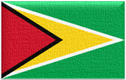 Flag 72 guyana