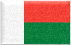 Flag 101 madagascar