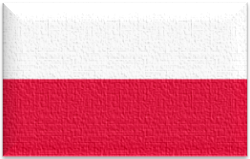 Flag 139 poland
