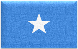 Flag 160 somalia