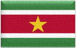 Flag 167 suriname