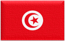 Flag 178 tunisia