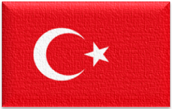 Flag 179 turkey