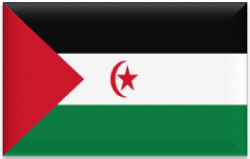 Flag 193 western sahara