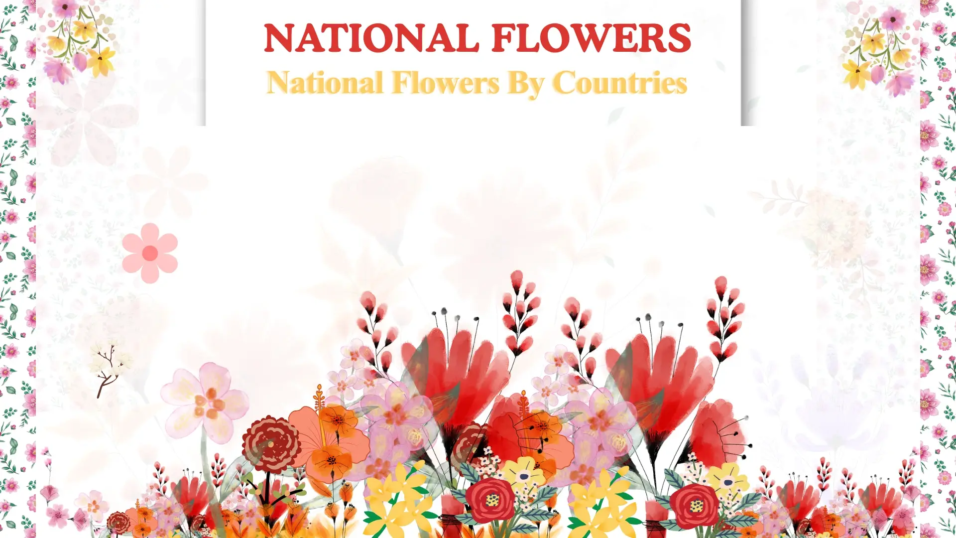 National Flowers of the Countries 1 National flowers of countries around the world showing cultural floral symbols and their meanings
